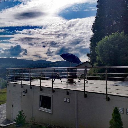 Ferienwohnung Talblick Schönau im Schwarzwald 外观 照片
