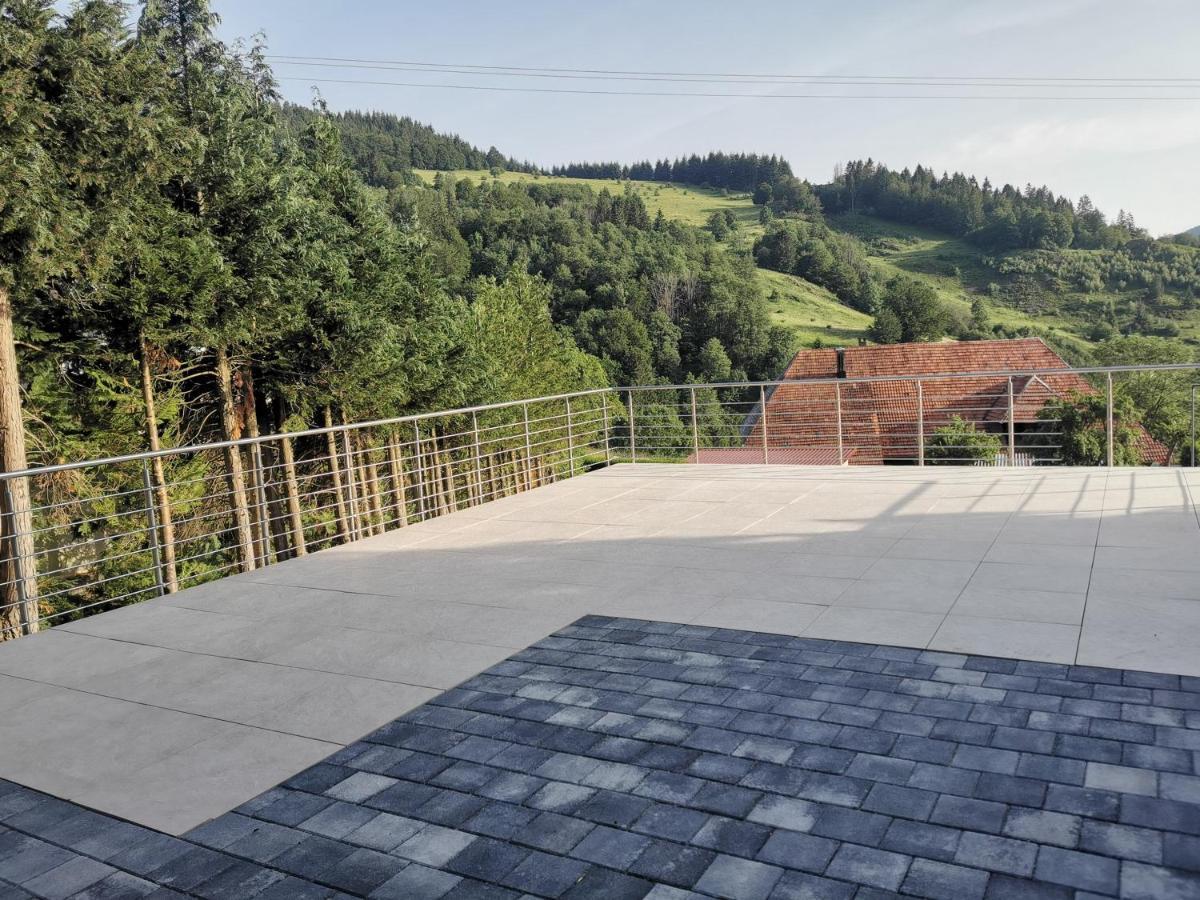 Ferienwohnung Talblick Schönau im Schwarzwald 外观 照片