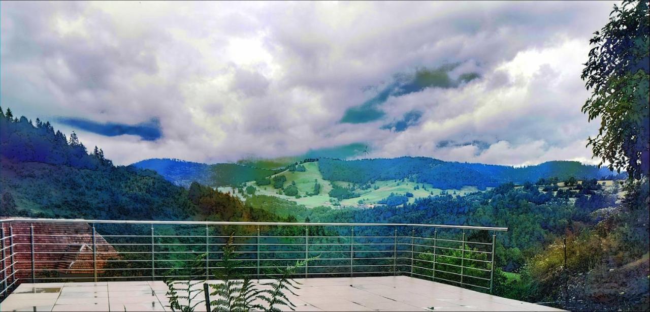 Ferienwohnung Talblick Schönau im Schwarzwald 外观 照片