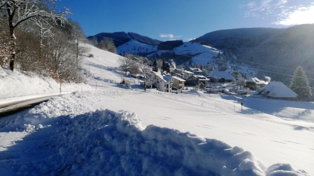 Ferienwohnung Talblick Schönau im Schwarzwald 外观 照片