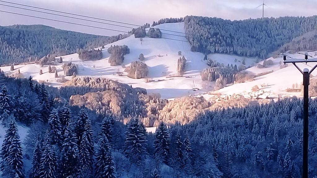 Ferienwohnung Talblick Schönau im Schwarzwald 外观 照片