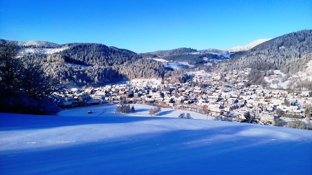 Ferienwohnung Talblick Schönau im Schwarzwald 外观 照片