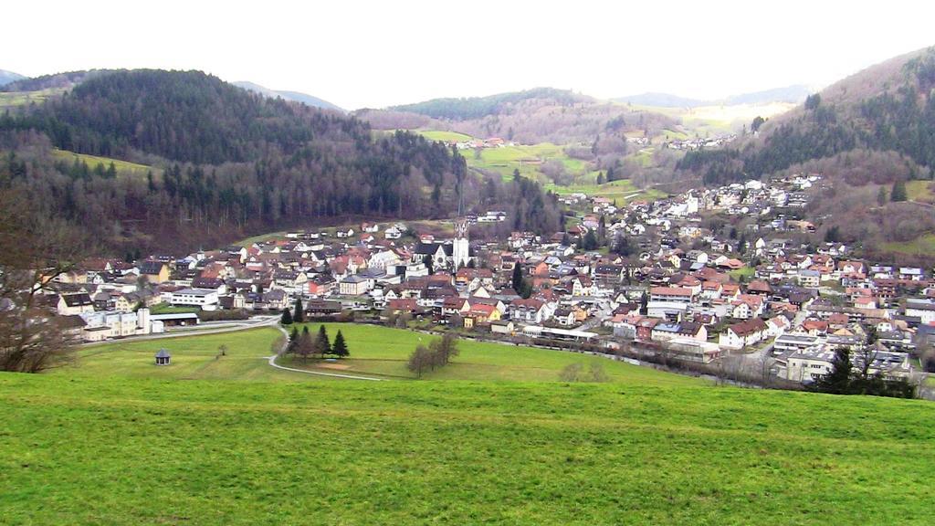 Ferienwohnung Talblick Schönau im Schwarzwald 外观 照片