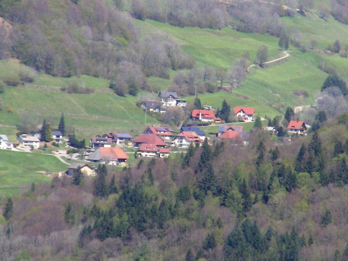 Ferienwohnung Talblick Schönau im Schwarzwald 外观 照片