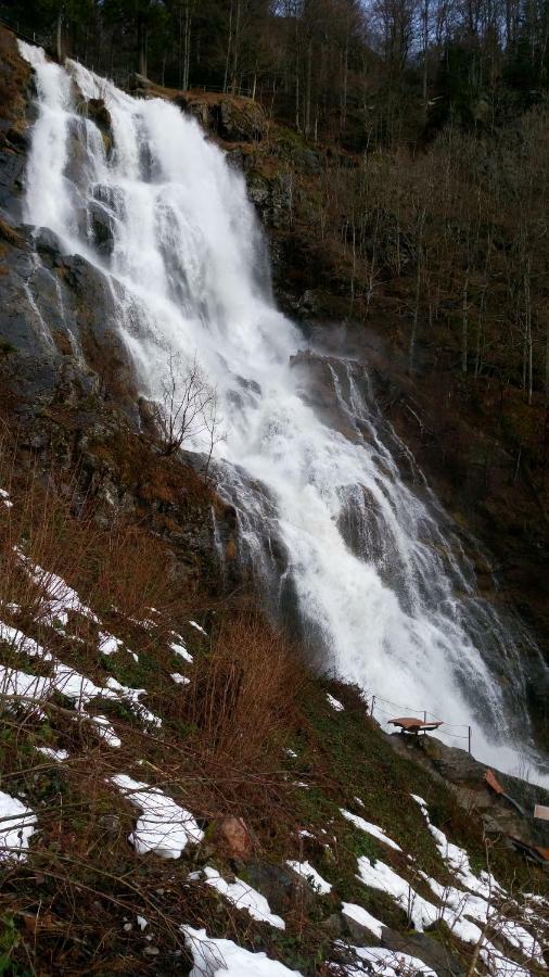 Ferienwohnung Talblick Schönau im Schwarzwald 外观 照片